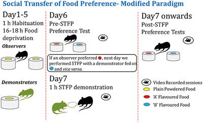 Flavor Dependent Retention of Remote Food Preference Memory